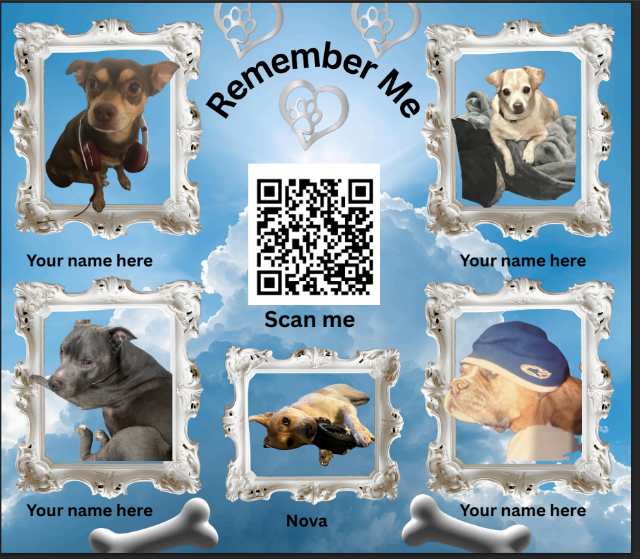 20oz  Sublimation Cups